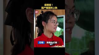 国产榴莲树上熟！国产榴莲种植面积超3万亩！国产榴莲口感如何？| 财经风云