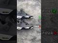 Real Vs Fake Cool Grey Jordan 4 #sneakerhead #sneakers #viral