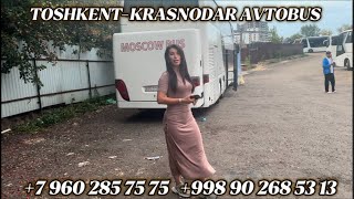 видео: +79650496969/Krasnodar Toshkent avtobus ,Ростов Ташкент автобус,москва-ташкент автобус картинка: +79650496969/Krasnodar Toshkent avtobus ,Ростов Ташкент автобус,москва-ташкент автобус