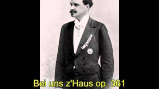 Eduard Strauß: Blüthenkranz Johann Strauss'scher Walzer op. 292