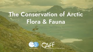 An introduction to: The Conservation of Arctic Flora and Fauna An introduction to: The Conservation of Arctic Flora and Fauna