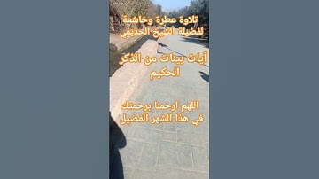 آيات بينات من الذكر الحكيم #explore #اكسبلور #peace #quran #القرآن_الكريم #قرآن #اكسبلور #hijab