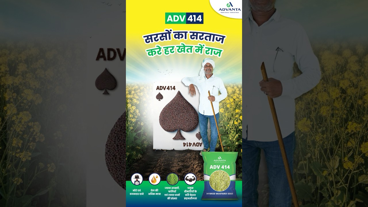 एडवांटा ADV 414 - सरसों का सरताज, करे हर खेत में राज।