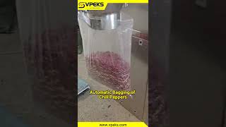 Chili Pepper Packaging Machine | Fully Automatic Packing Solution 🌶️ #packagingmachine #factory