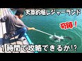 【天草釣掘レジャーランド】1時間1本勝負で真鯛は釣れるか!?最後に分かった攻略法!釣った魚でBBQできる釣り堀