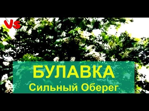 Булавка на здоровье, удачу и деньги.