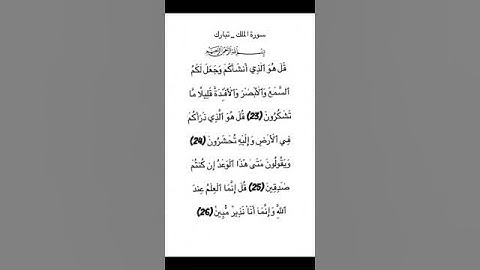 سورة الملك _ تبارك من الآية 23 الي 26 #سورة_الملك #سورة_تبارك #محمد_الفقيه #القرآن_الكريم #quran