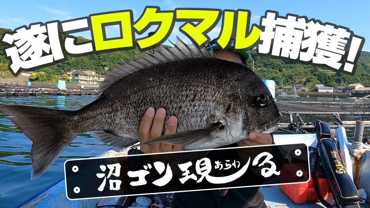 釣りが好き 新宿チヌサーhdの全国で釣りをして釣果をアップするブログ
