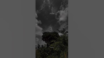 ❣#عبدالرحمن_مسعد #سورة_النحل💫#قران_كريم #تلاوات_خاشعة #راحة_نفسية 🌱