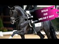 Which One Is Better? Totilas Offspring Comparison - Total US, Toto Jr & Go Legend
