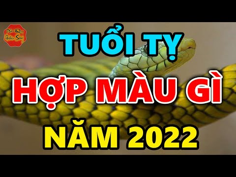 Tuổi Tỵ Năm Nay Hợp Màu Gì - Tuổi Tỵ Năm 2022 Hợp Màu Gì Để MUA NHÀ TẬU XE, May Mắn Giàu Có Cả Năm