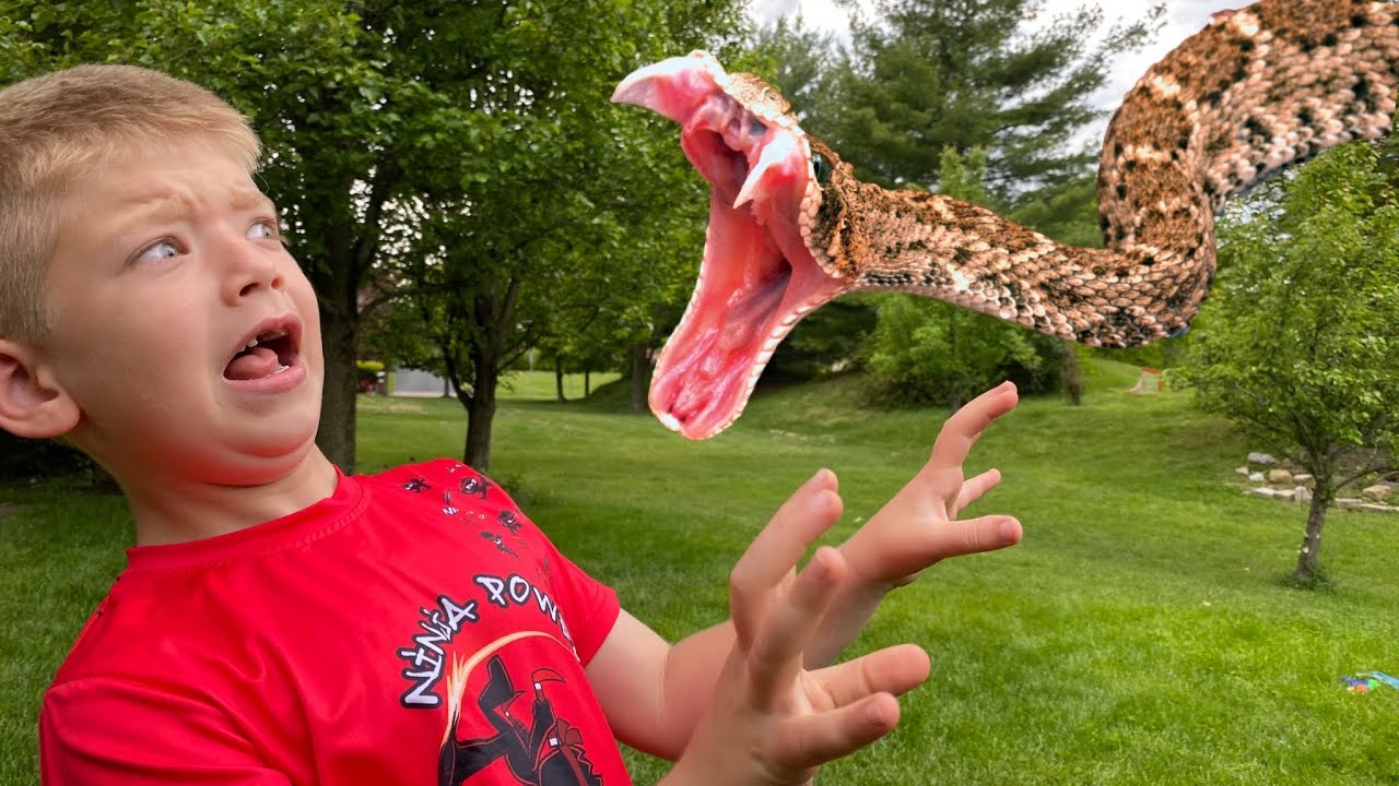 Snake Attack! Bryton Myler What Type Of Snake Did We Find?