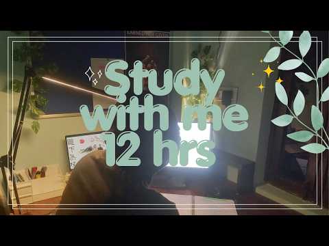 🔴Study with me live | 5/100 | 📚12 hours | 80/10 Pomodoro ⏰️ | Fire Crackling Sound 🔥