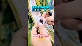 Cotton Candy Fruit That Tastes Like Ice Cream!#shorts #fyp #fruit #uniquefruit #amazing #fypシ゚viral screenshot 1