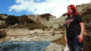 HCC Honors College  Study Abroad 2015