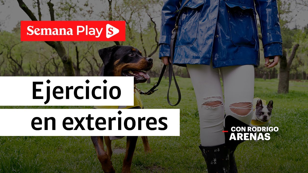 Recomendaciones para pasear a los perros | Rodrigo Arenas