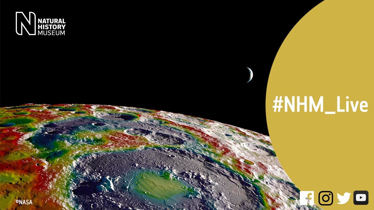 museums in london Space, specimens, and dating strategies | #NHM_Live