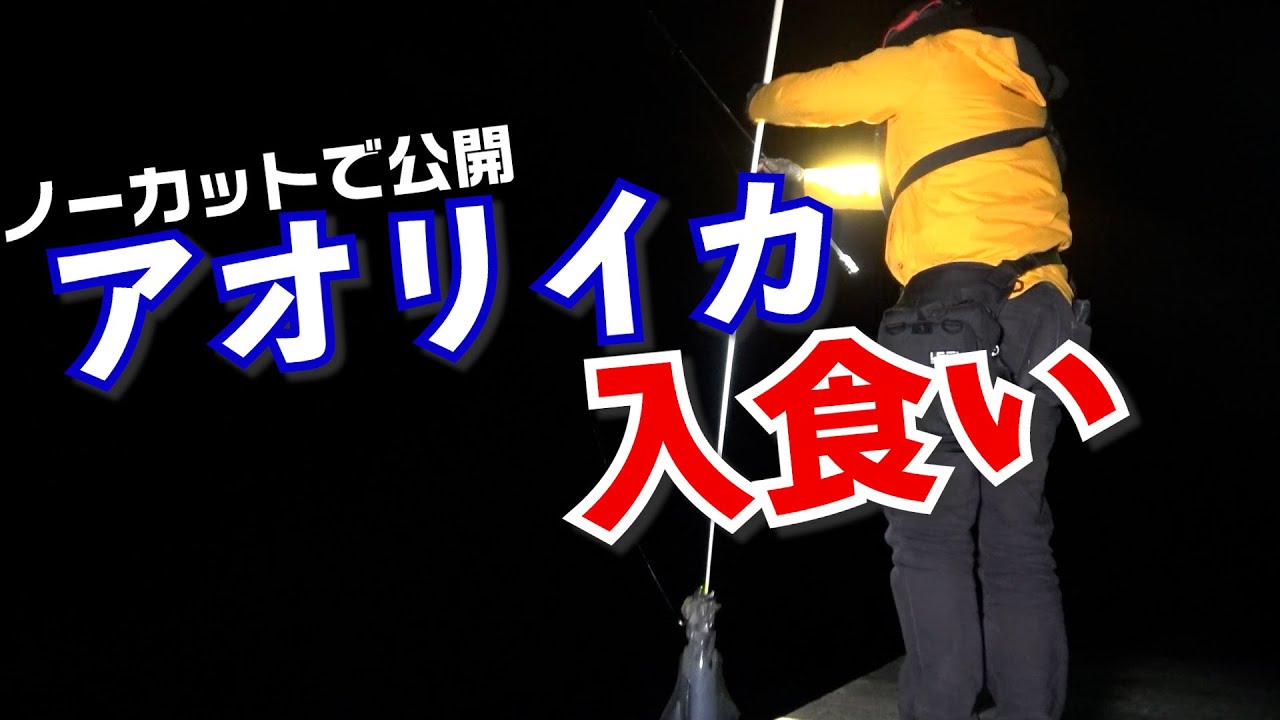 春イカエギング開幕目前！ノーカット公開！短時間でバカみたいに連発します
