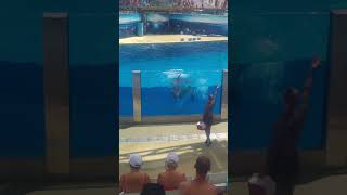 Bunlar hayvan degil(5)