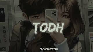 Todh [Slowed+Reverb] lofi mix