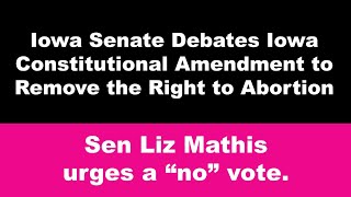 Senator Mathis opposes Iowa Constitutional Amendment to ban abortion (4/6/21)