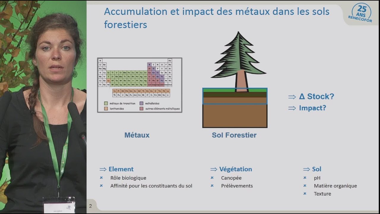 Quel impact et quel devenir des pollutions en métaux en forêt ?