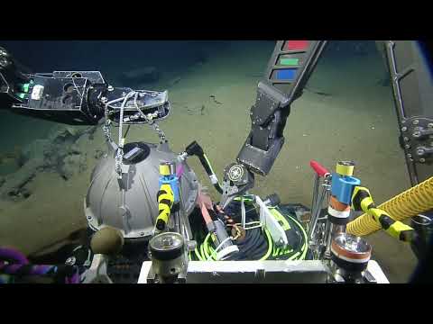 OET ROV Operations for Ocean Networks Canada | Nautilus Live