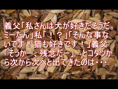 【笑】義父「私さんは犬が好きだそうだ。ミーたん」私「！？」「そんな事ないです！猫も好きです！」義父「そうかー、残念だー」→とコタツから次から次へと出てきたのは・・・【スカッとする話動画EX】