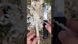 S#0234 ⚡ Morakniv Basic 510 Feather Stick Making Fuzz Stick Featherstick Curles Feathersticking Test