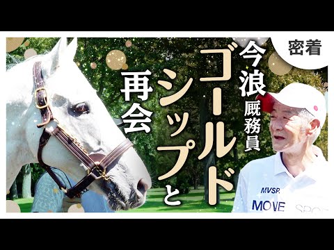 ゴールドシップと今浪さんの再会に密着！49年の厩務員人生を振り返るドキュメンタリー