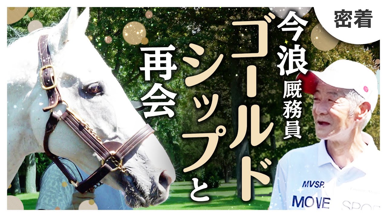 ゴールドシップと今浪さんの再会に密着！49年の厩務員人生を振り返るドキュメンタリー