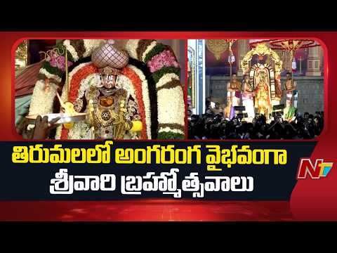 Tirumala: అశ్వ వాహనంపై తిరుమాడ వీధుల్లో విహరిస్తున్న మలయప్ప స్వామి | NTV Telugu - NTVTELUGU