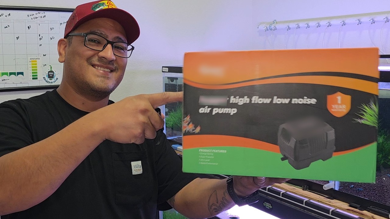 I Replaced 3 Aquarium Air Pumps With This ONE (1-Year Review)