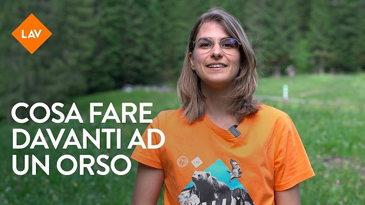 Cosa fare se incontro un orso? - 5 consigli dei Bear Ambassador