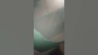 April 7, 2024 | Bigo Live | bigo live | bigo hot 🥵 girl | ❌ hot girls sexy'| #bigolive #hot