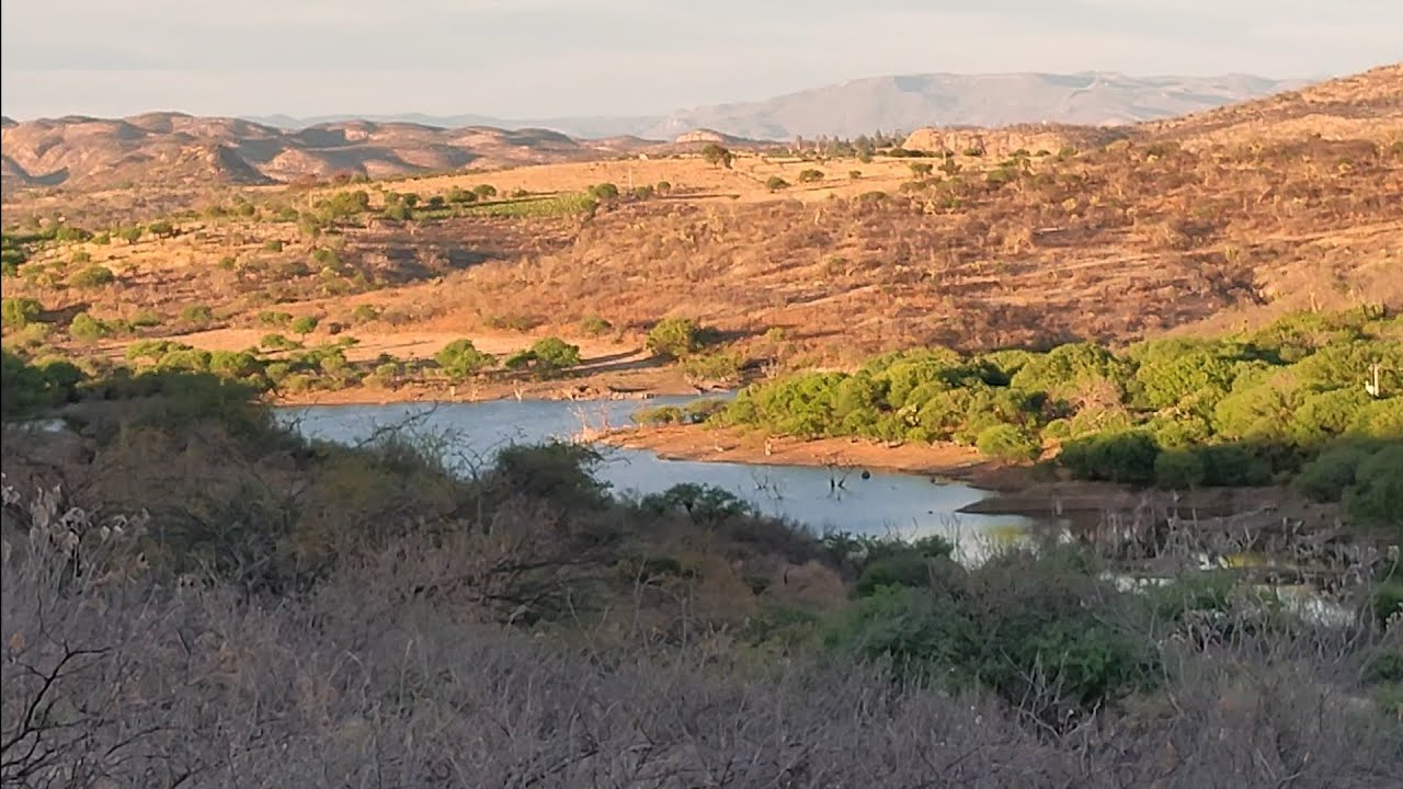 encontramos otro lago con tilapias monstruo de mas de 4 kilos