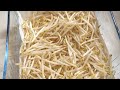 How to store mung bean sprouts to keep them fresh  02 march 2022