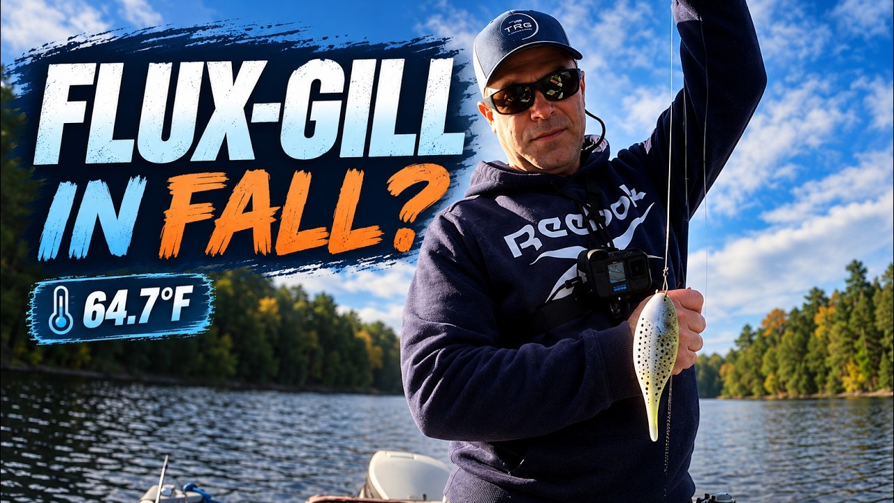 Does the Berkley Flux-Gill Still Catch Bass in the Fall?