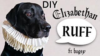Making my dog a 16th Century Elizabethan Ruff Collar! How to make an Elizabethan/Tudor Ruff DIY