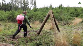 Asanace Kůrovce Postřikem