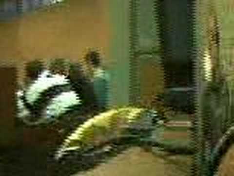 camera iphone 8 plus apk typische informatik vorlesung