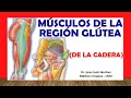 🥇 MÚSCULOS DE LA REGIÓN GLÚTEA. (de la CADERA). Fácil, Rápidos y Sencillos