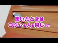 驚いたときは ヨウムも人も同じか？検証動画（笑）