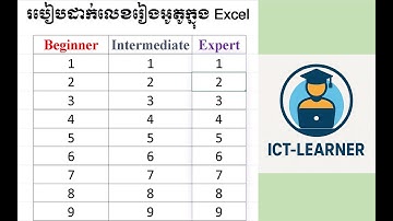 របៀបដាក់លេខរៀង Auto នៅក្នុង Excel  Excel Auto Numbering Tutorial