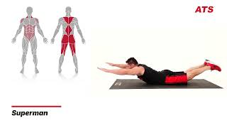Superman - Sport Science Exercise Library
