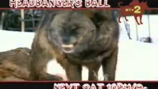 Mtv2 Headbangers Ball Episodic Promo - As I Lay Dying