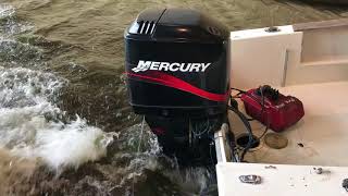 Mercury 115 ELPTO check out.