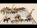 Animal vs. Dinosaur speed race. Swirl course from outside to inside | Animal Revolt Battle Simulator