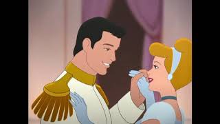 Inicio Dvd Vida Salvaje 2006 Argentina