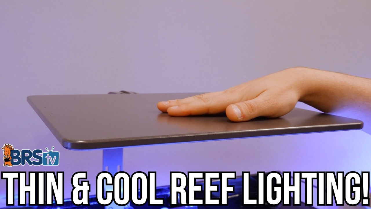 The THINNEST Reef Tank Light Around! ATI Straton X